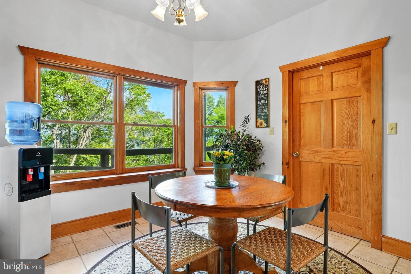 1292 Peaks View Drive photo 35
