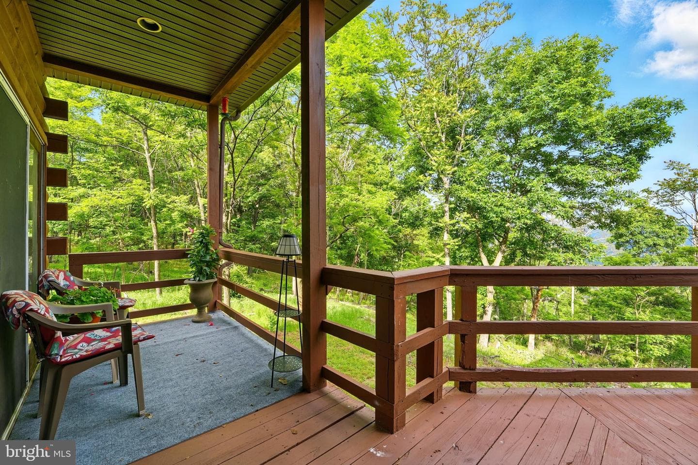 1292 Peaks View Drive photo 48