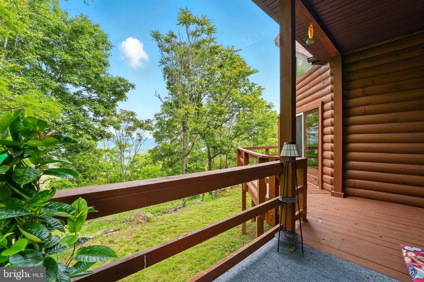 1292 Peaks View Drive photo 50