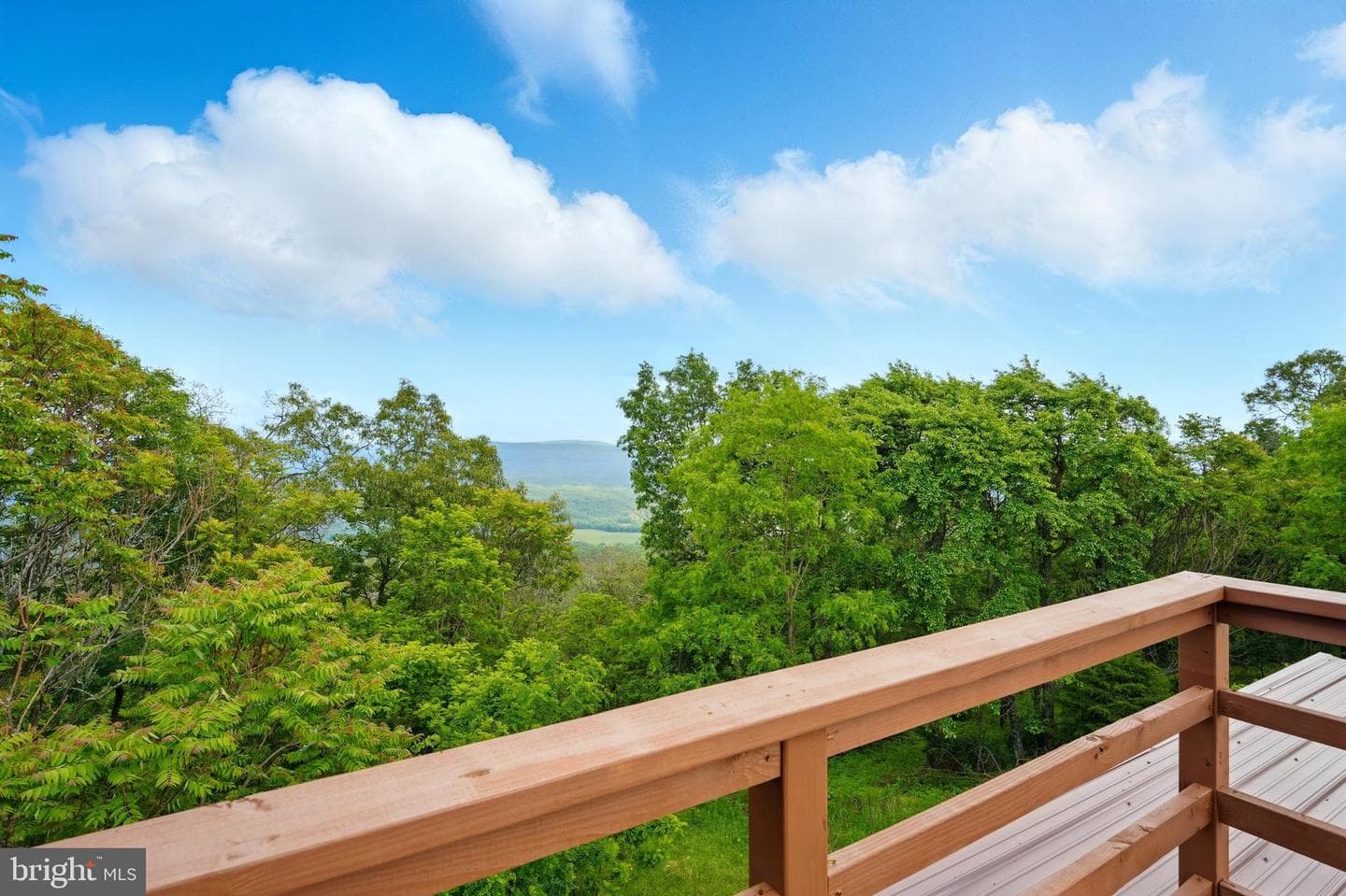 1292 Peaks View Drive photo 69