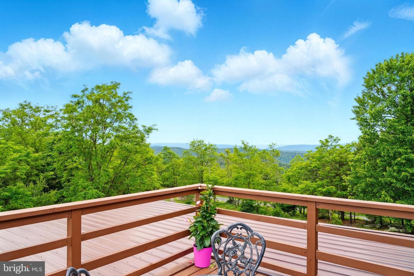 1292 Peaks View Drive photo 71