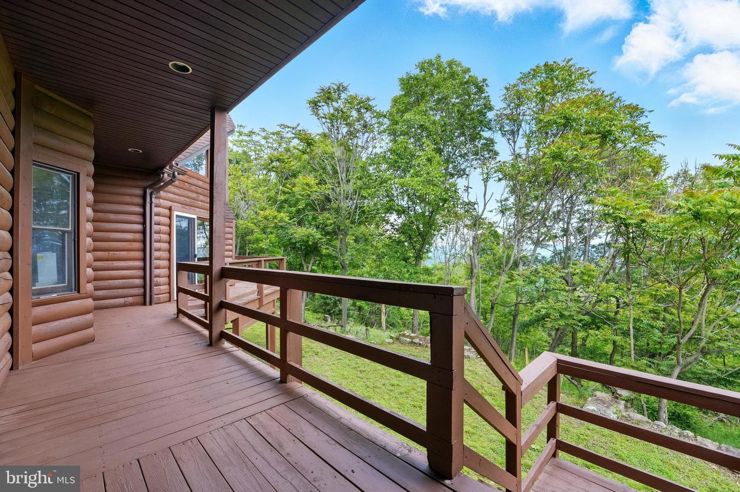 1292 Peaks View Drive photo 79