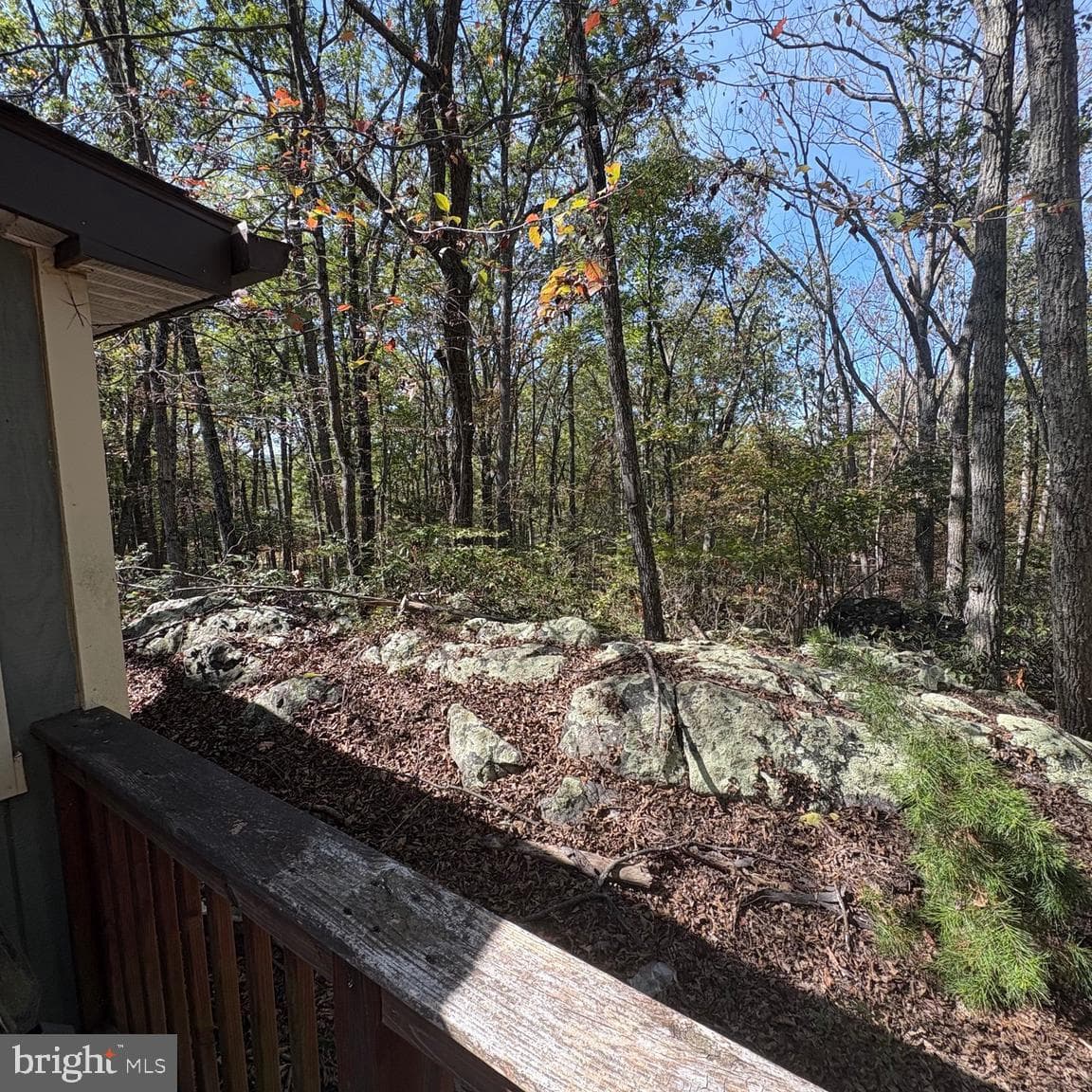 979 Ritter Drive photo 16