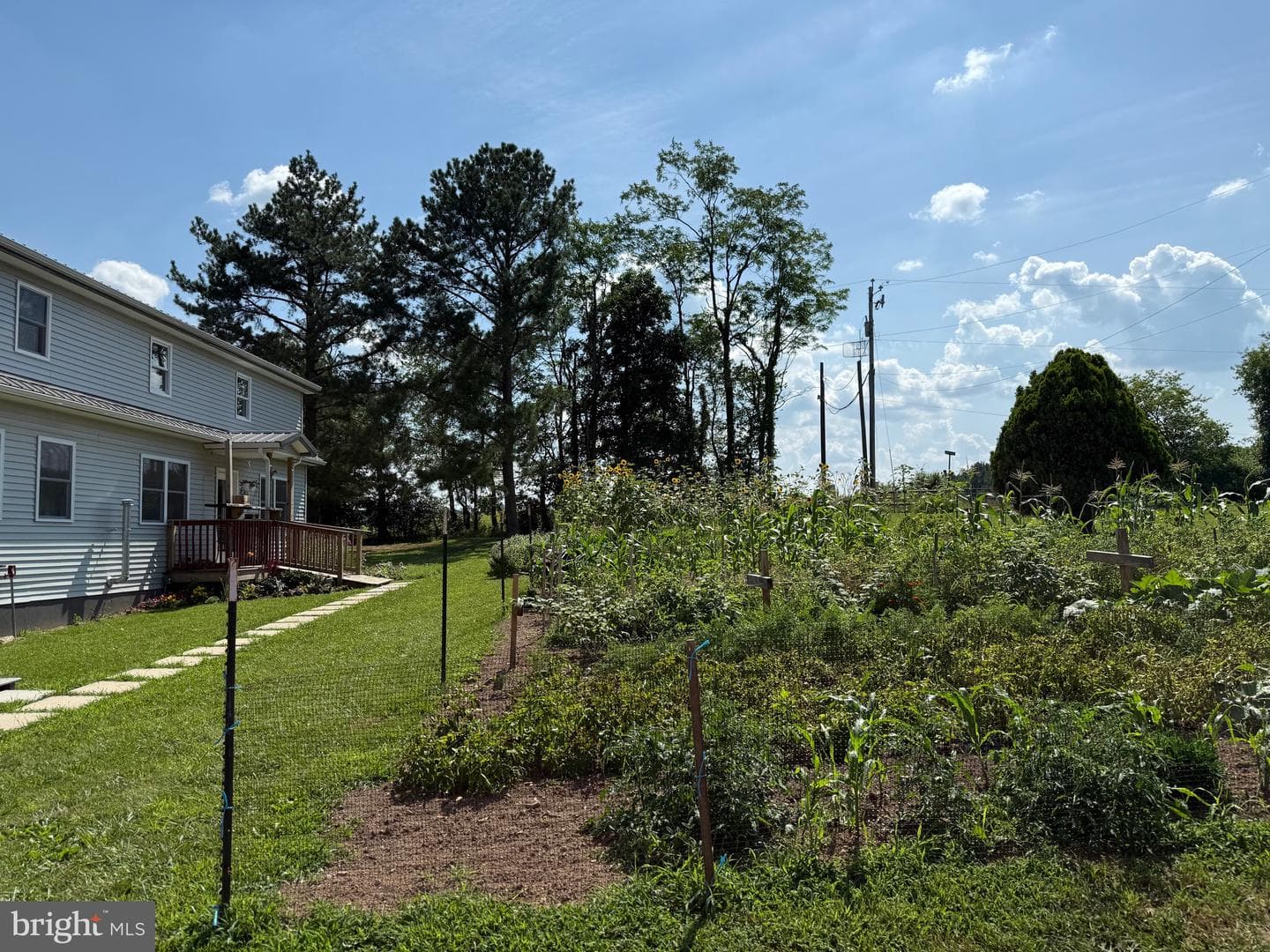 18 Silver Fern Place photo 86