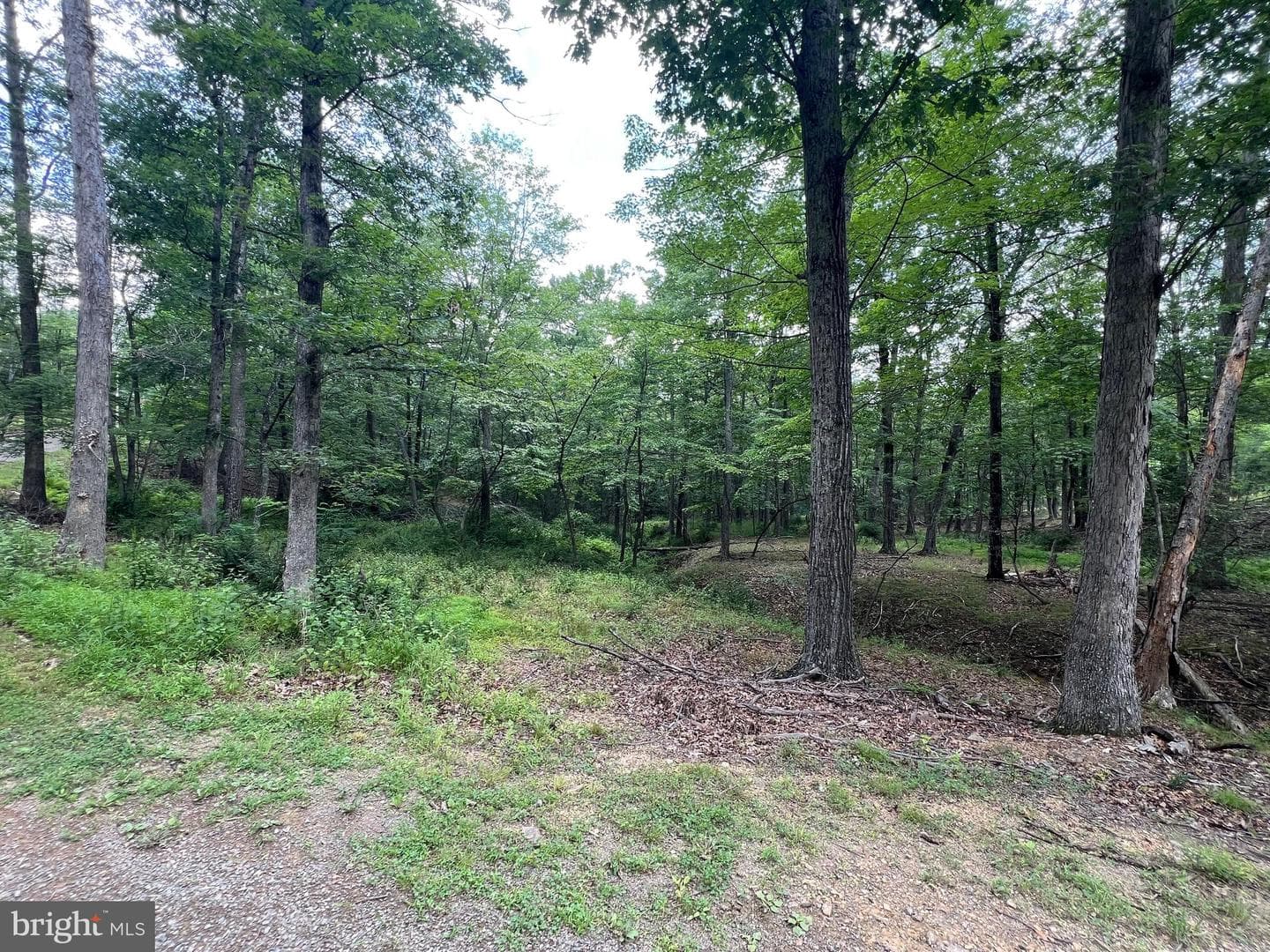 853 Janes Way photo 30