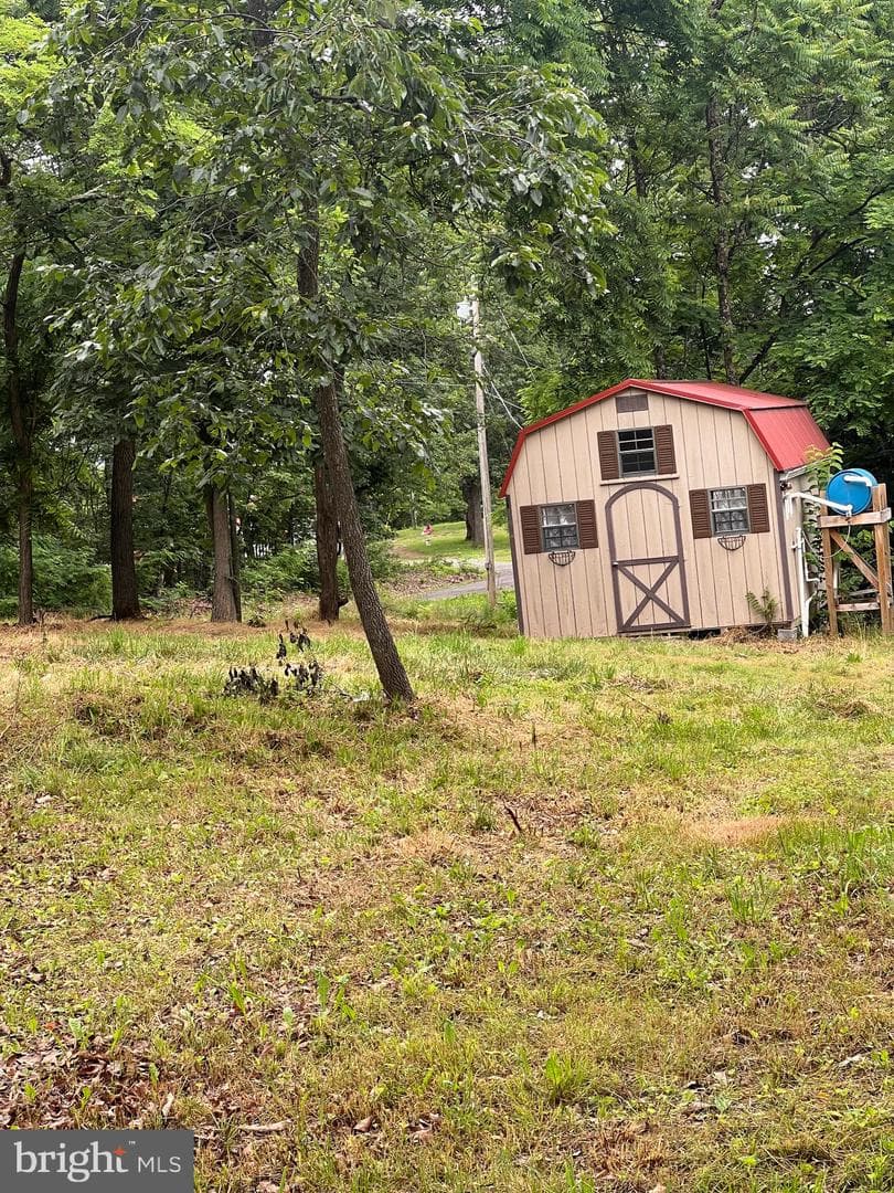 1250 Feller photo 10