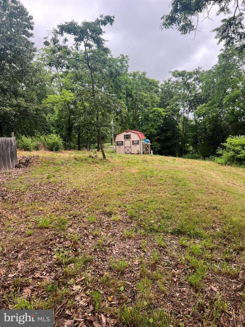 1250 Feller photo 11