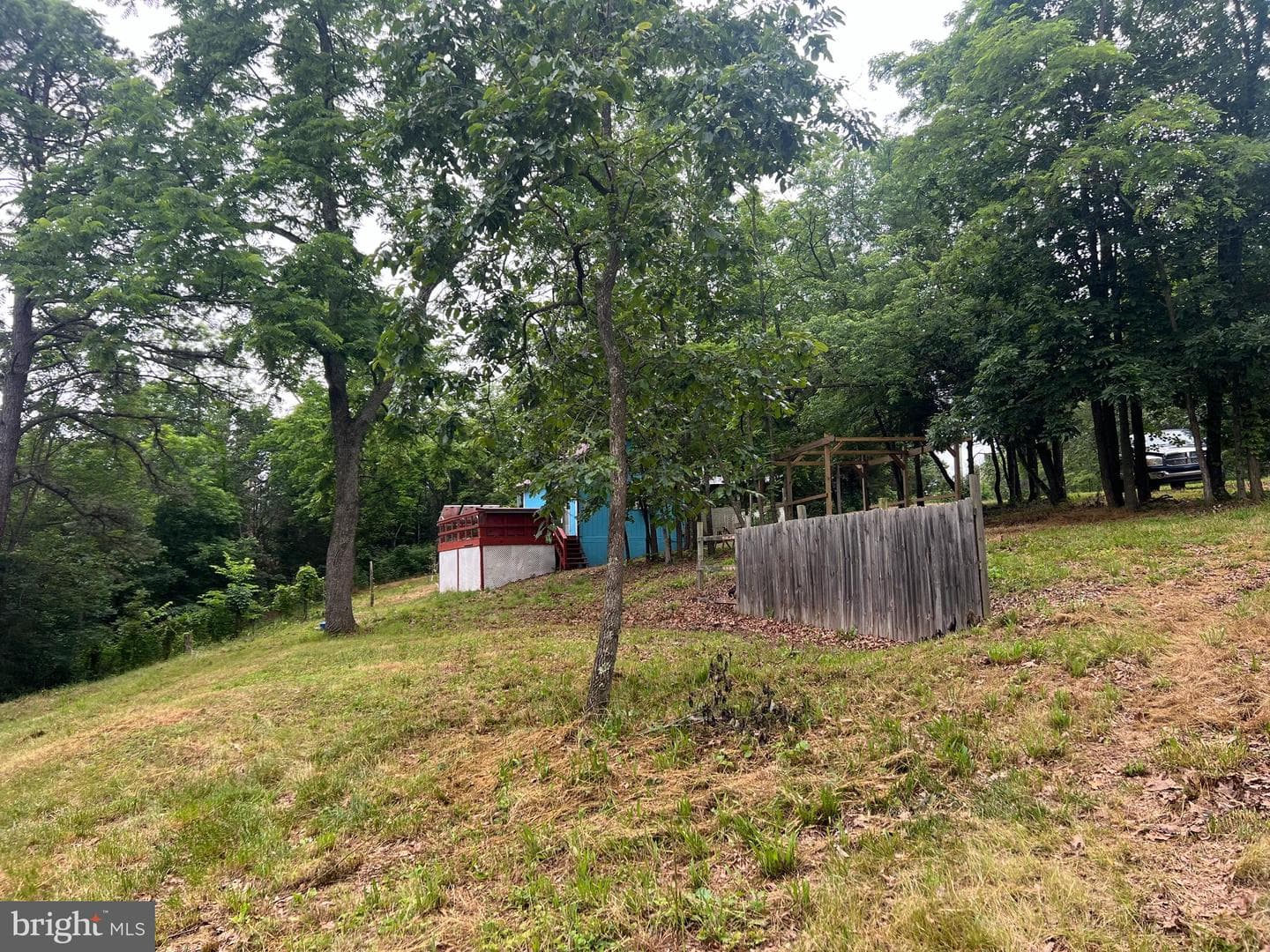 1250 Feller photo 12