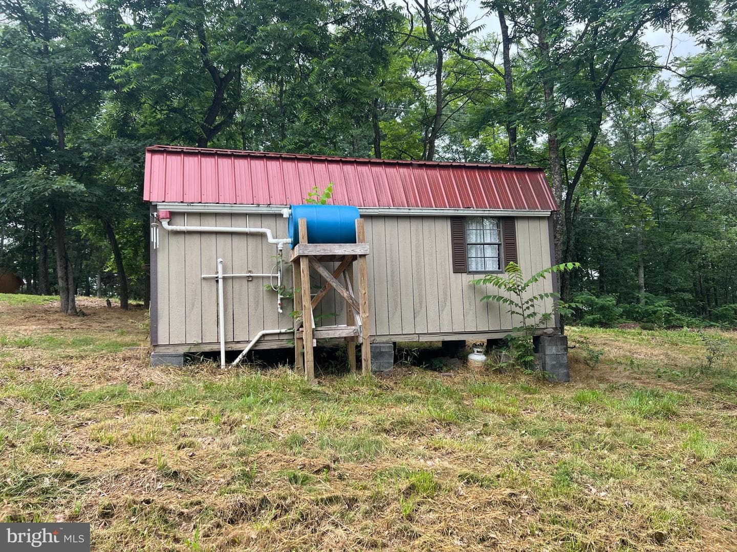 1250 Feller photo 19