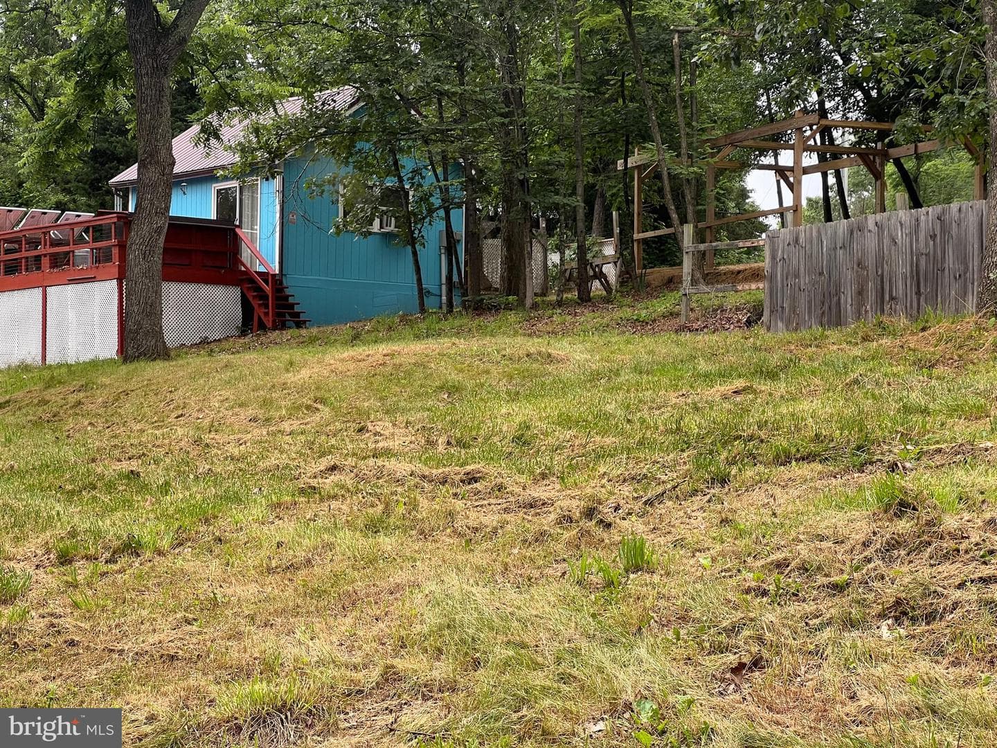 1250 Feller photo 20