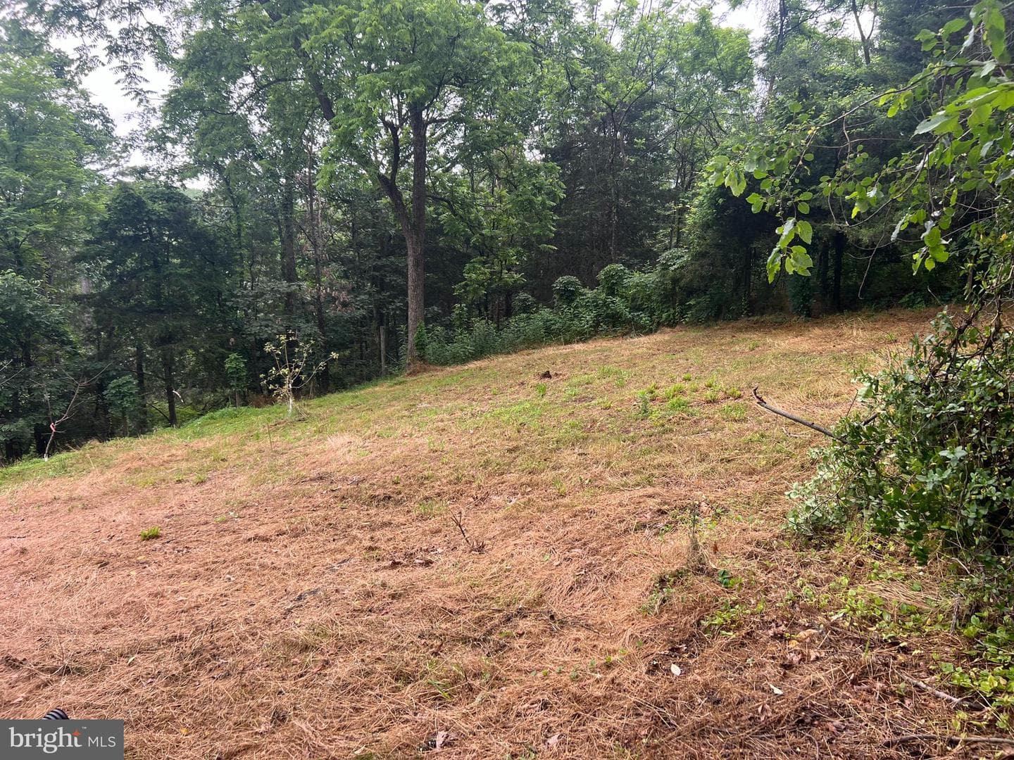 1250 Feller photo 22