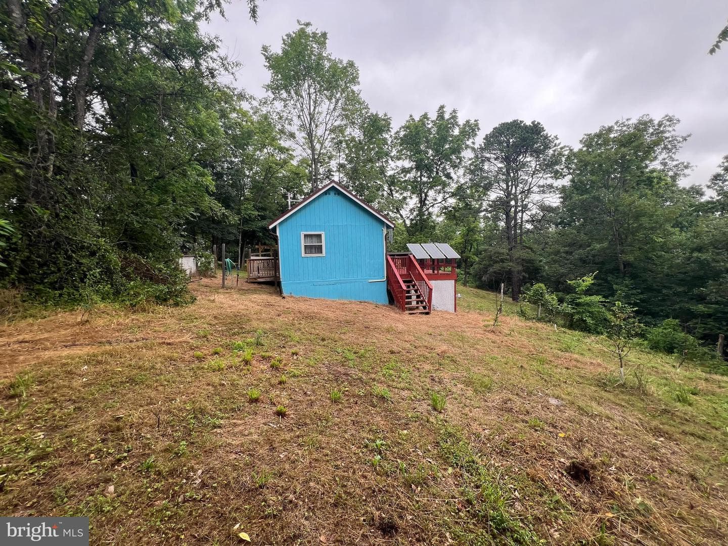 1250 Feller photo 24