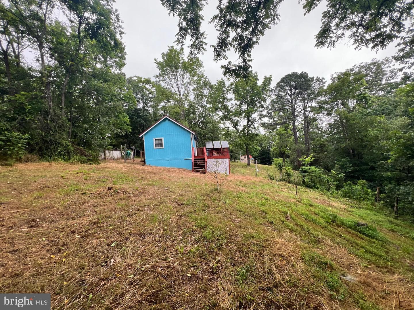 1250 Feller photo 27