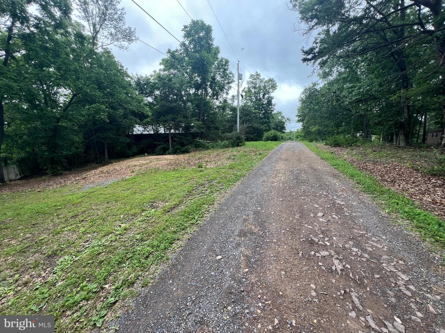 1250 Feller photo 28