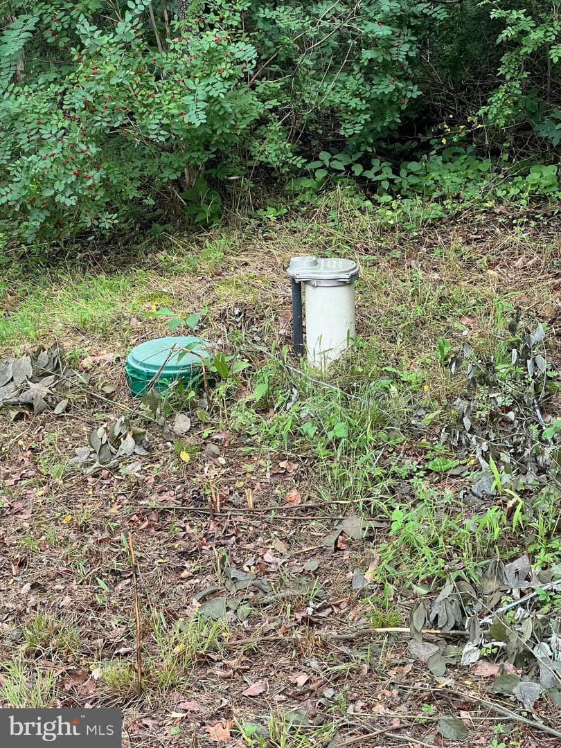 1250 Feller photo 7