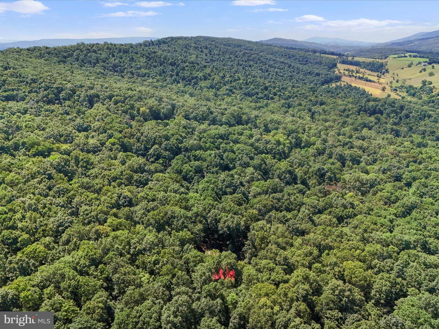 480 High Mountain Road photo 38