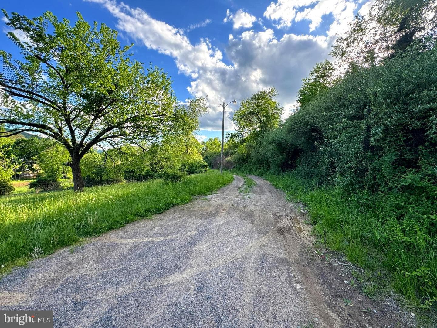 873 Delray Road photo 31