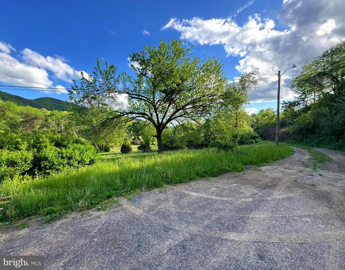 873 Delray Road photo 32