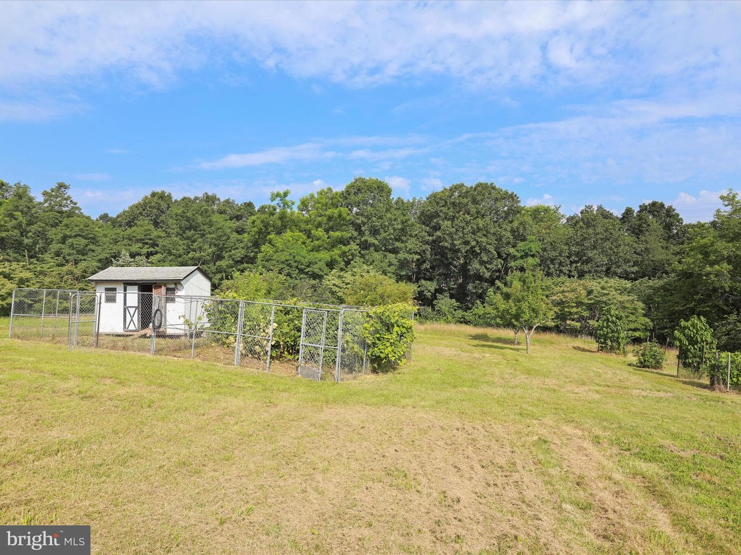 47 Perry Lane photo 36