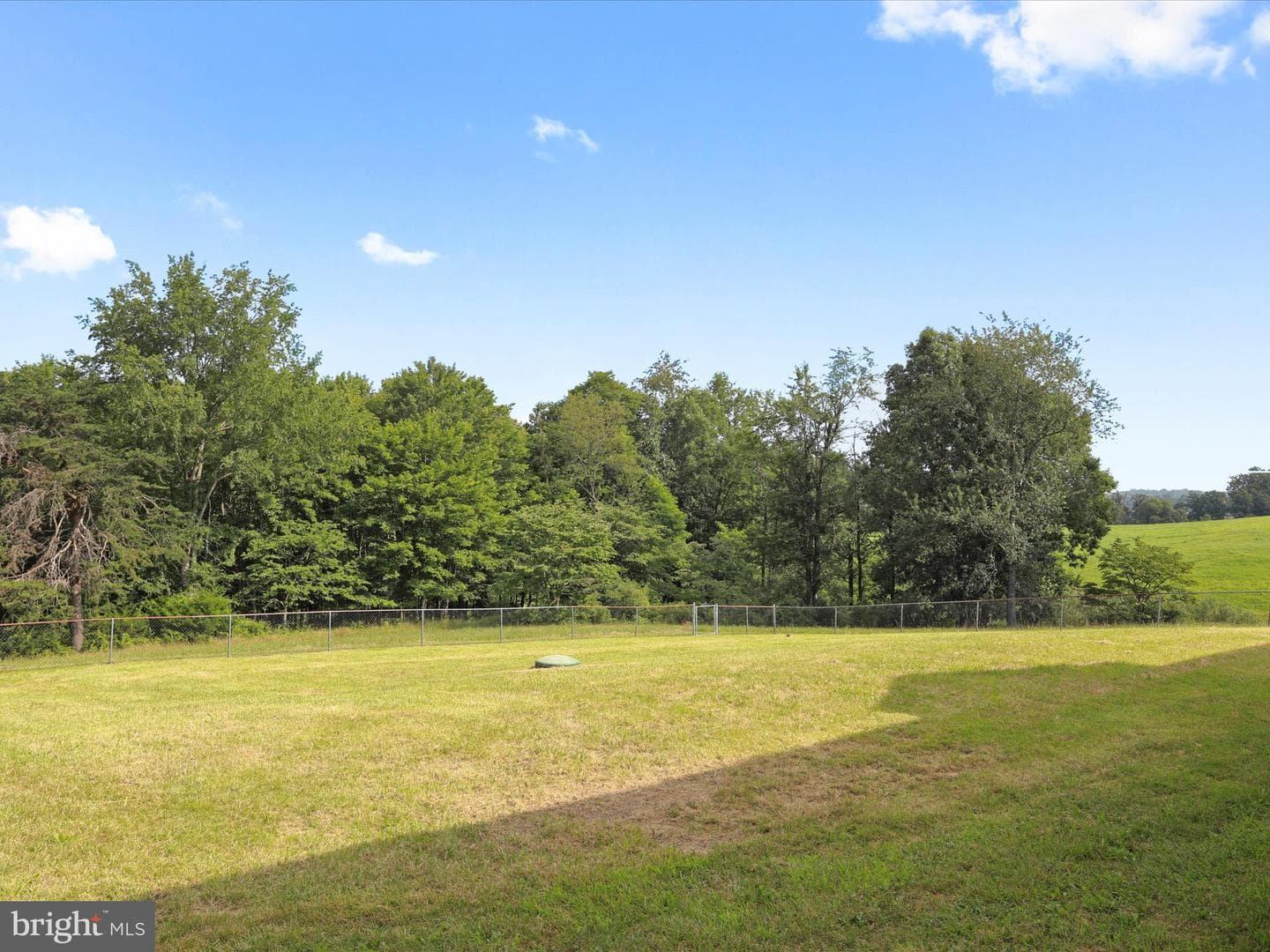 47 Perry Lane photo 37