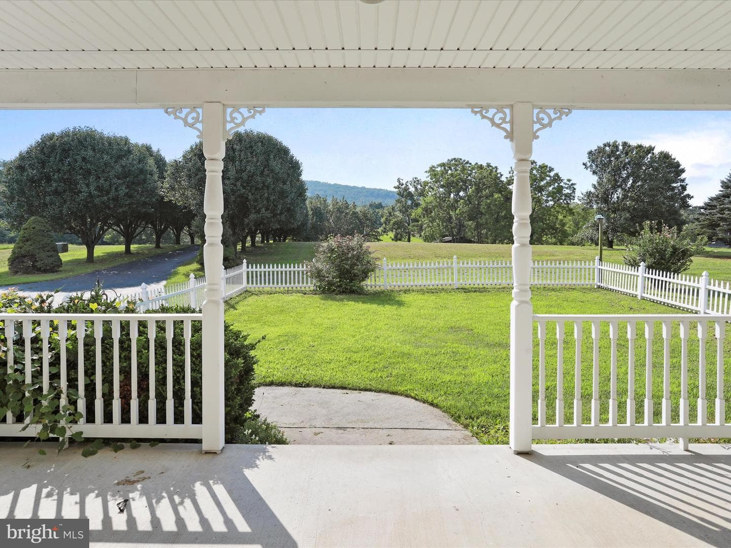 47 Perry Lane photo 43