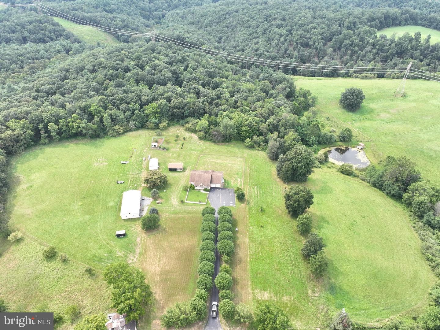 47 Perry Lane photo 45