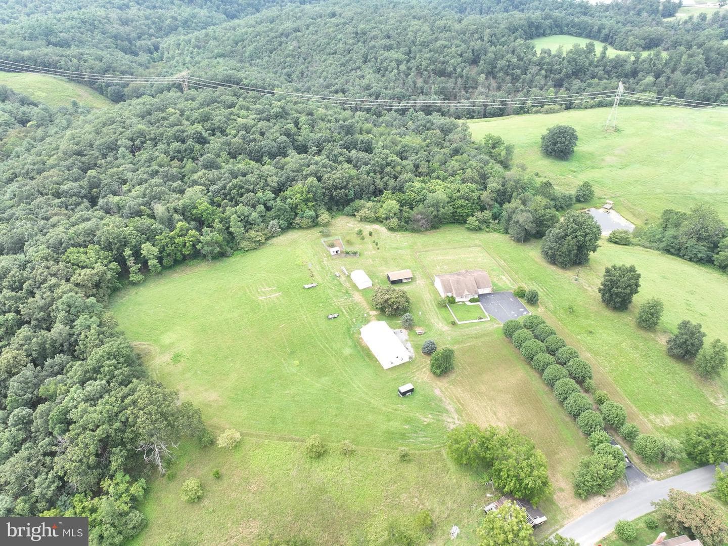 47 Perry Lane photo 51