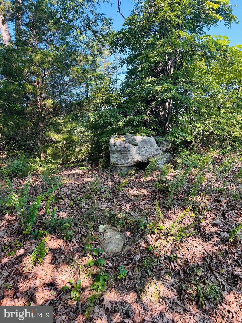 1691 Bloomery Pike photo 11
