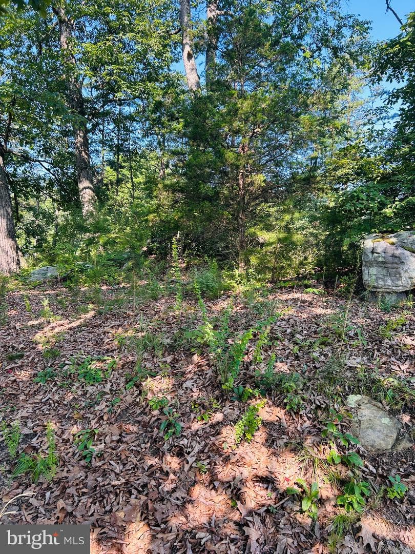 1691 Bloomery Pike photo 12