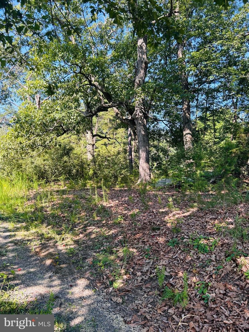1691 Bloomery Pike photo 13