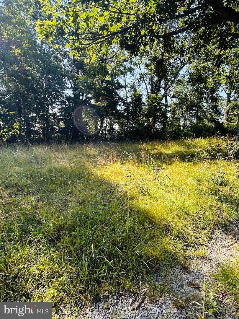 1691 Bloomery Pike photo 14