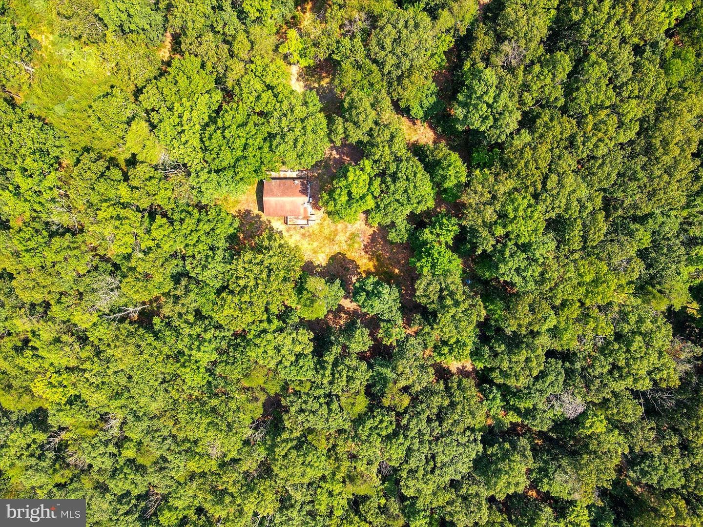 1306 Crest Haven Road photo 29