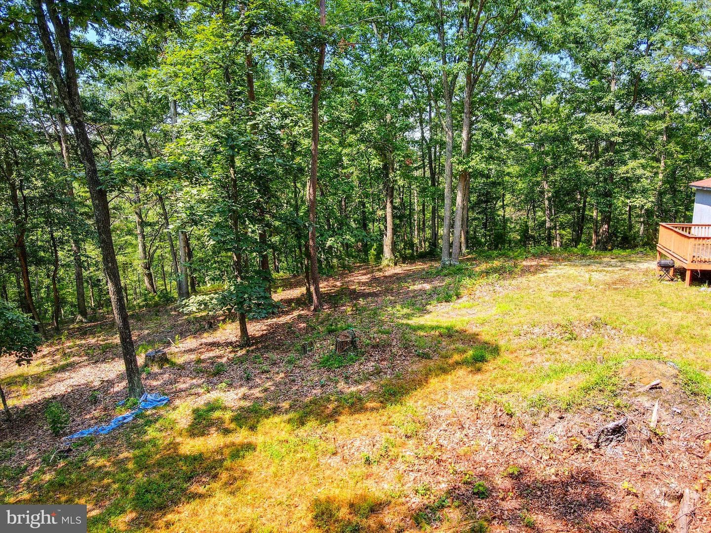 1306 Crest Haven Road photo 7