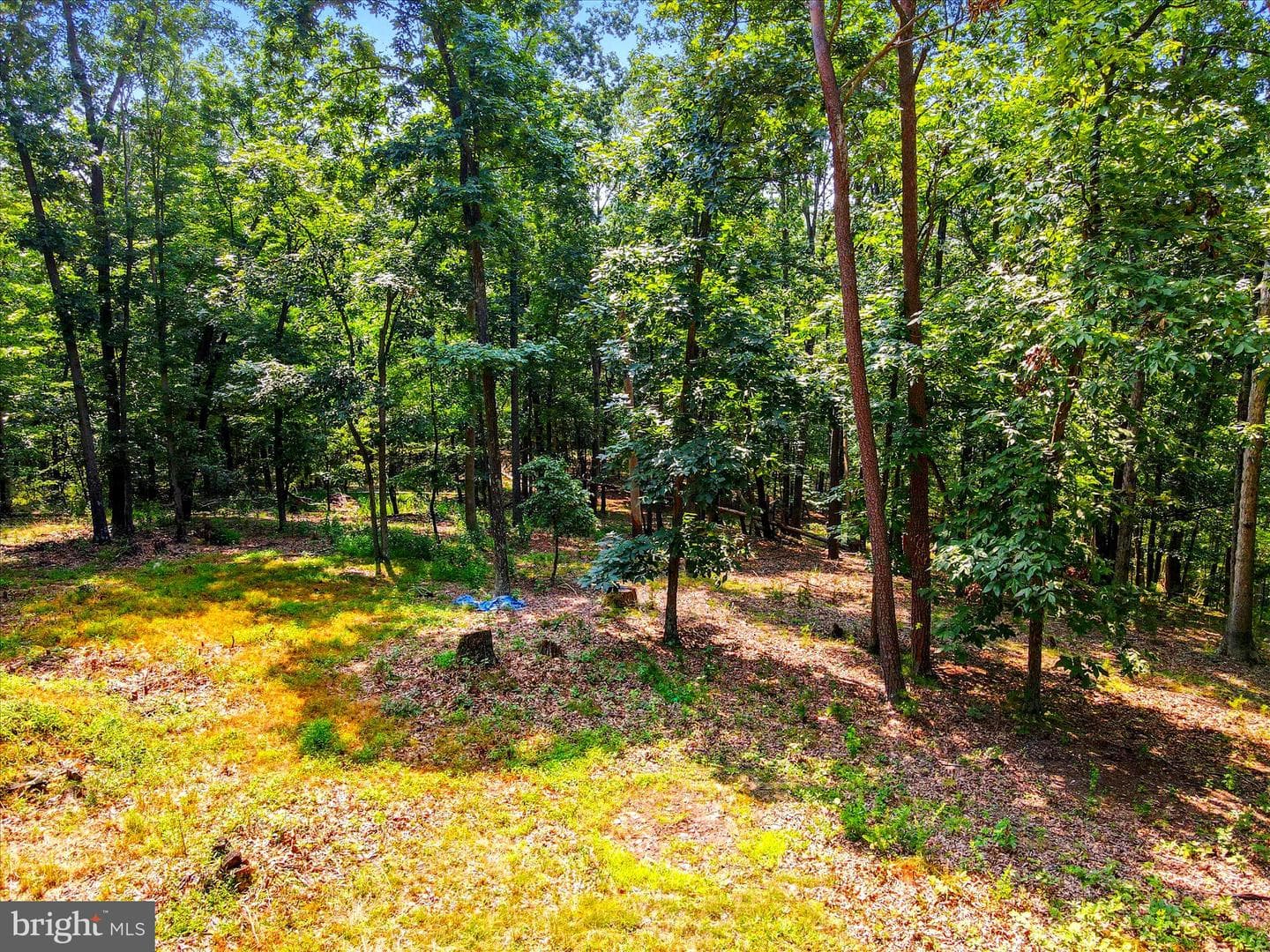 1306 Crest Haven Road photo 8
