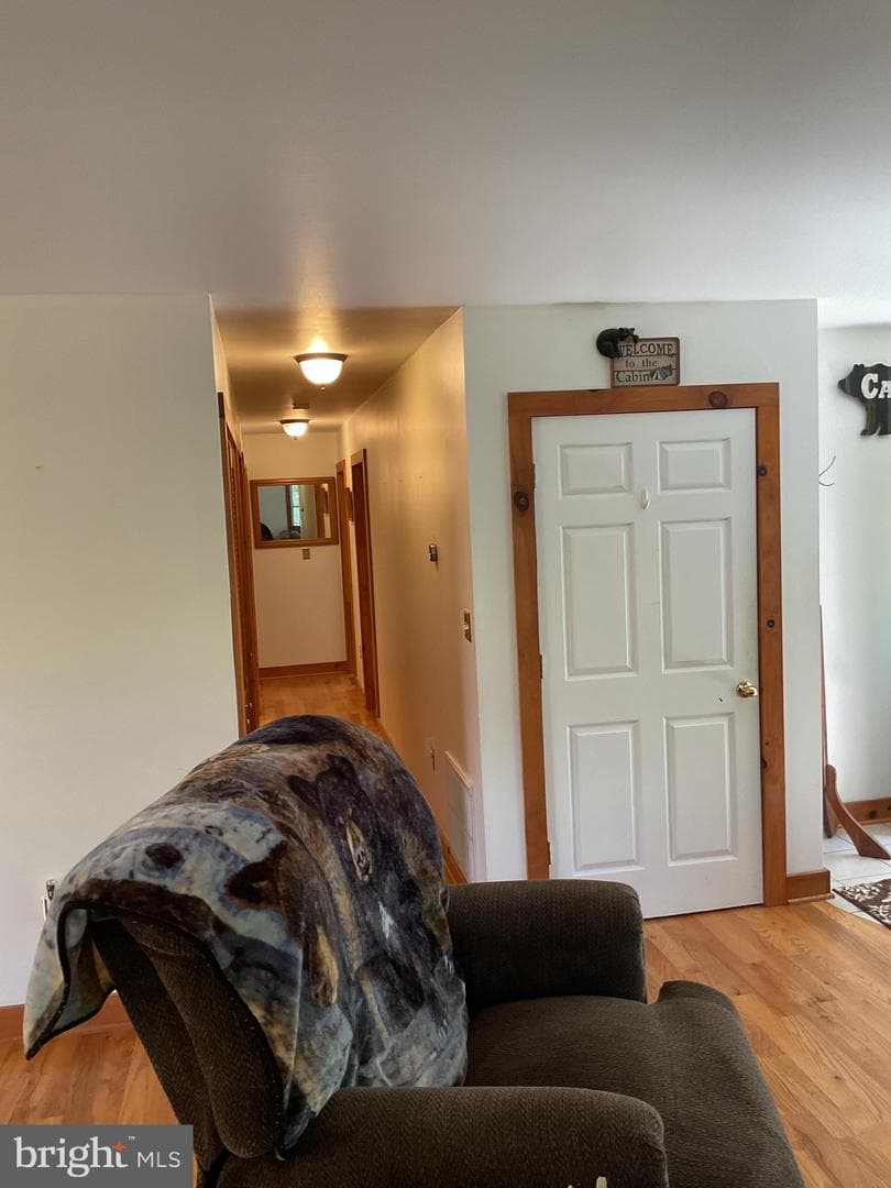 624 Mountain Lion Lane photo 13