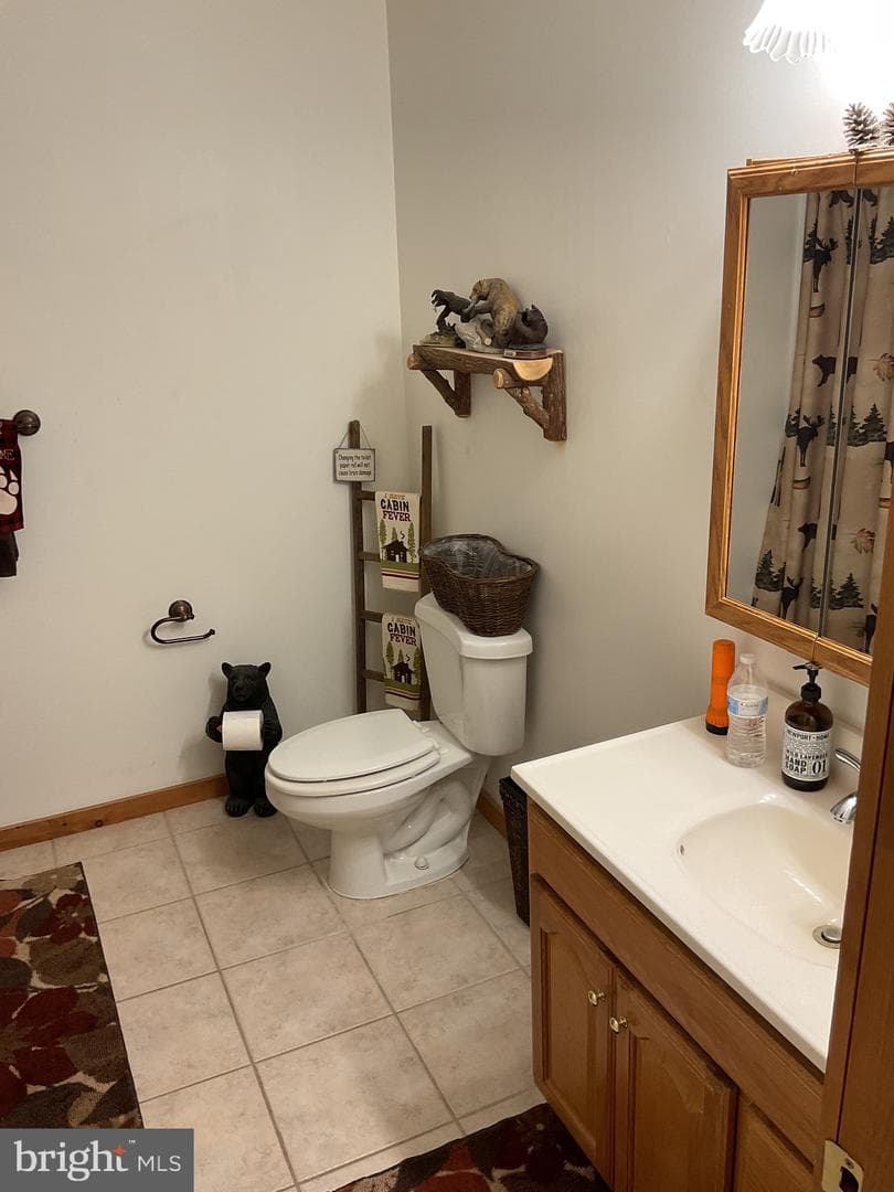 624 Mountain Lion Lane photo 18
