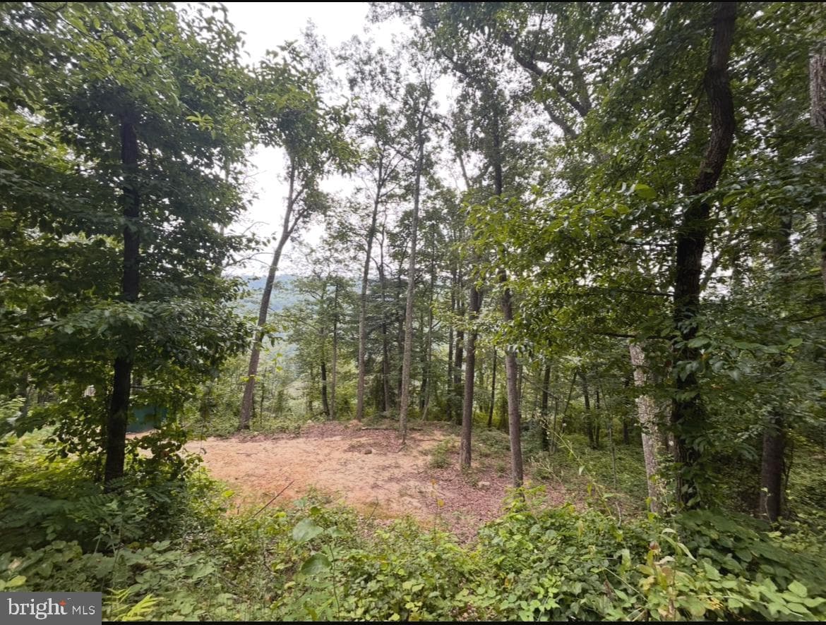 444 Nugget Drive photo 20