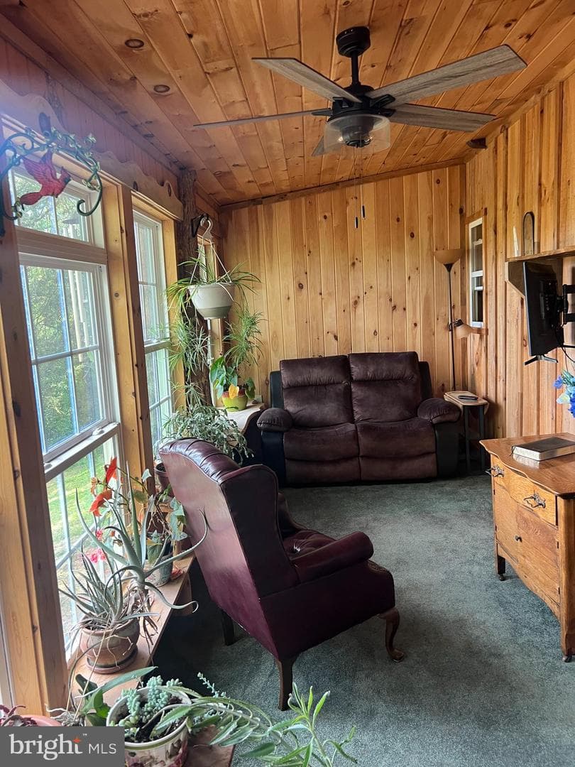 1194 Feller Dr photo 15