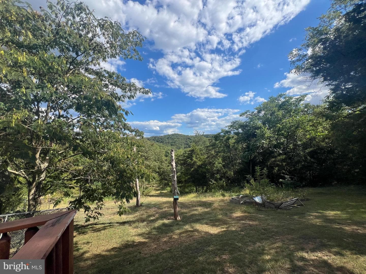 1194 Feller Dr photo 8