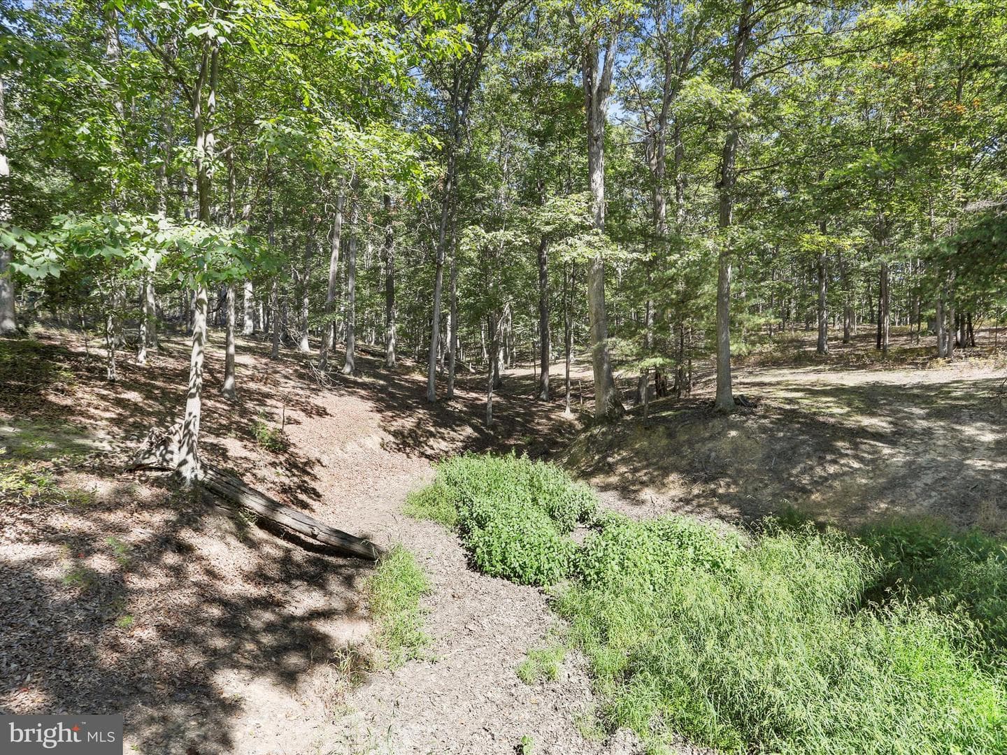 2370 Kerns School Road photo 13