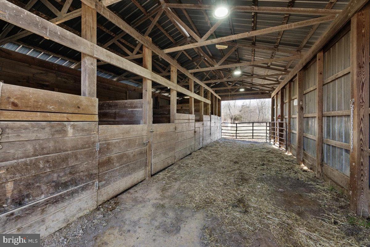 244 Muddy Road photo 10