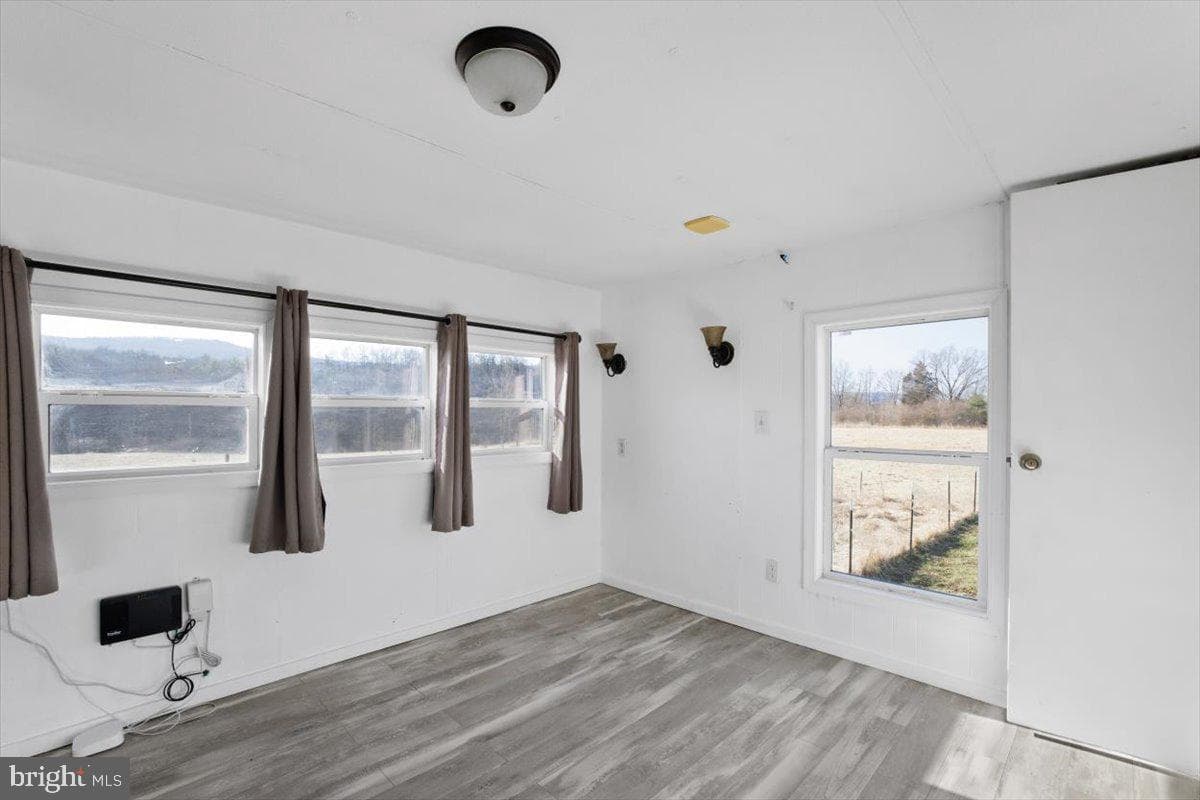 244 Muddy Road photo 21