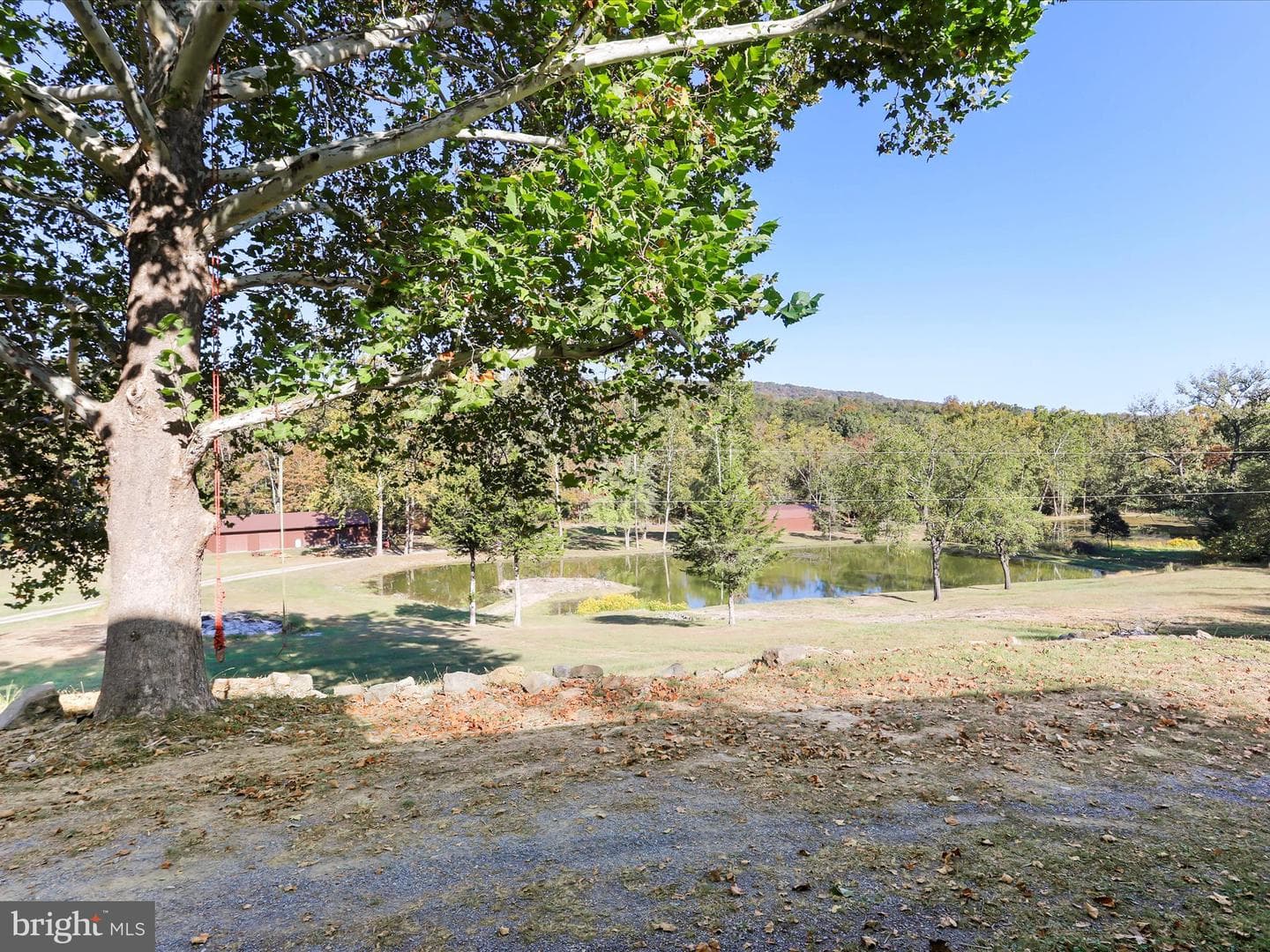 4478 Foxes Hollow Road photo 32