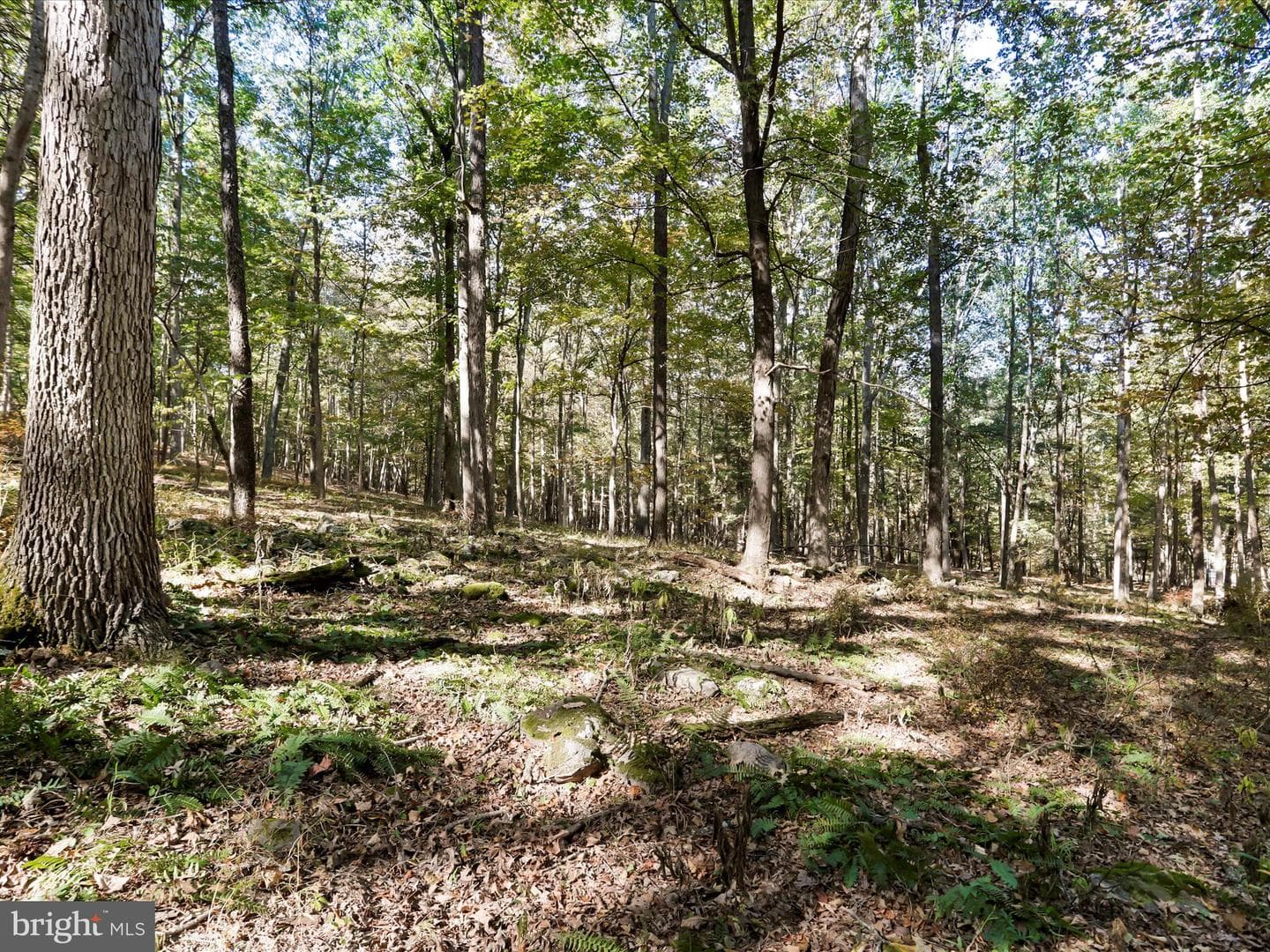 4478 Foxes Hollow Road photo 36