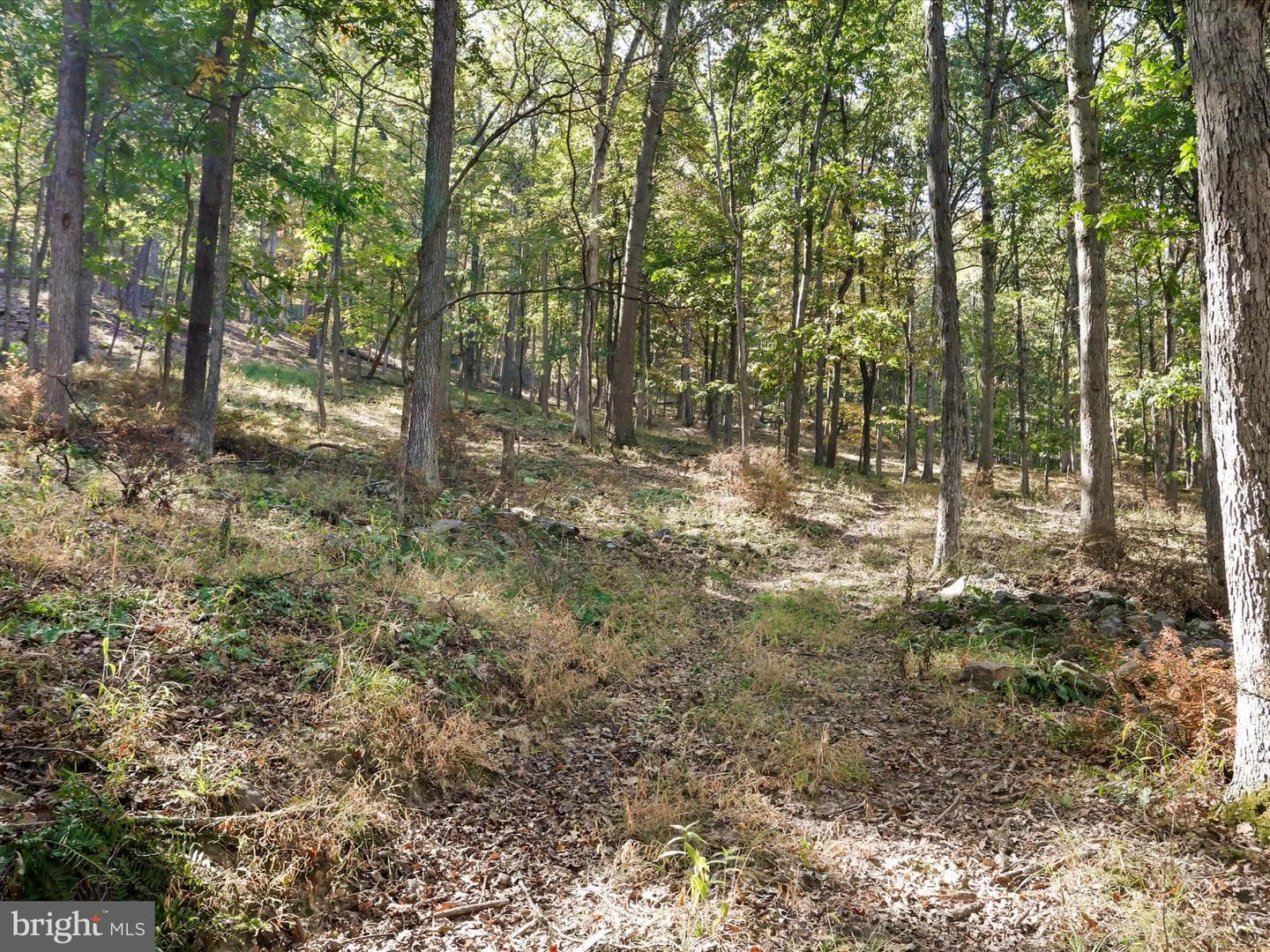 4478 Foxes Hollow Road photo 38