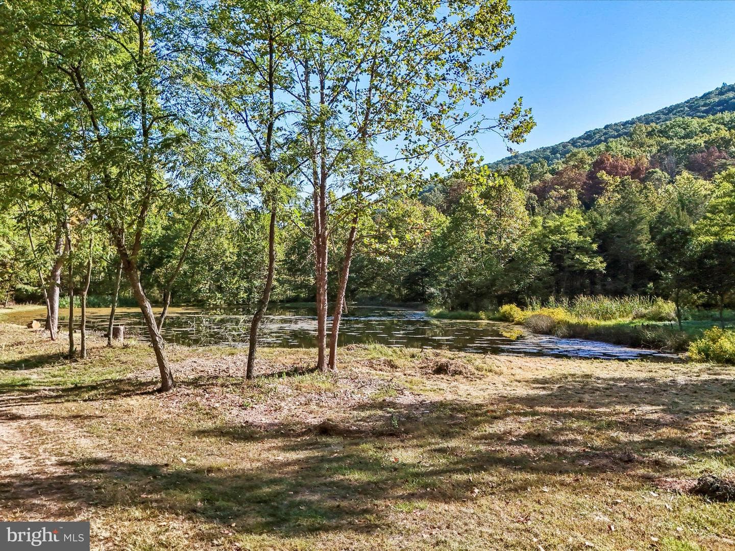 4478 Foxes Hollow Road photo 59
