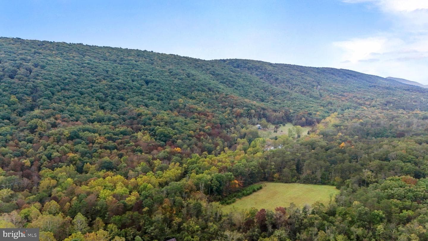 4478 Foxes Hollow Road photo 65