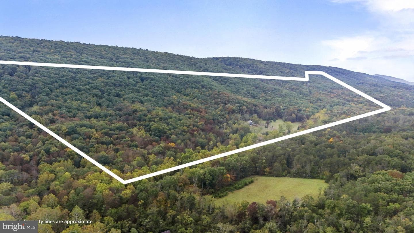 4478 Foxes Hollow Road photo 66