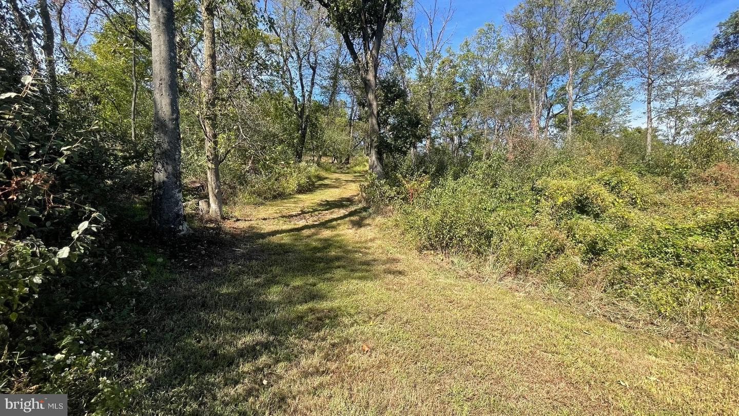 36 Serenity Drive photo 62