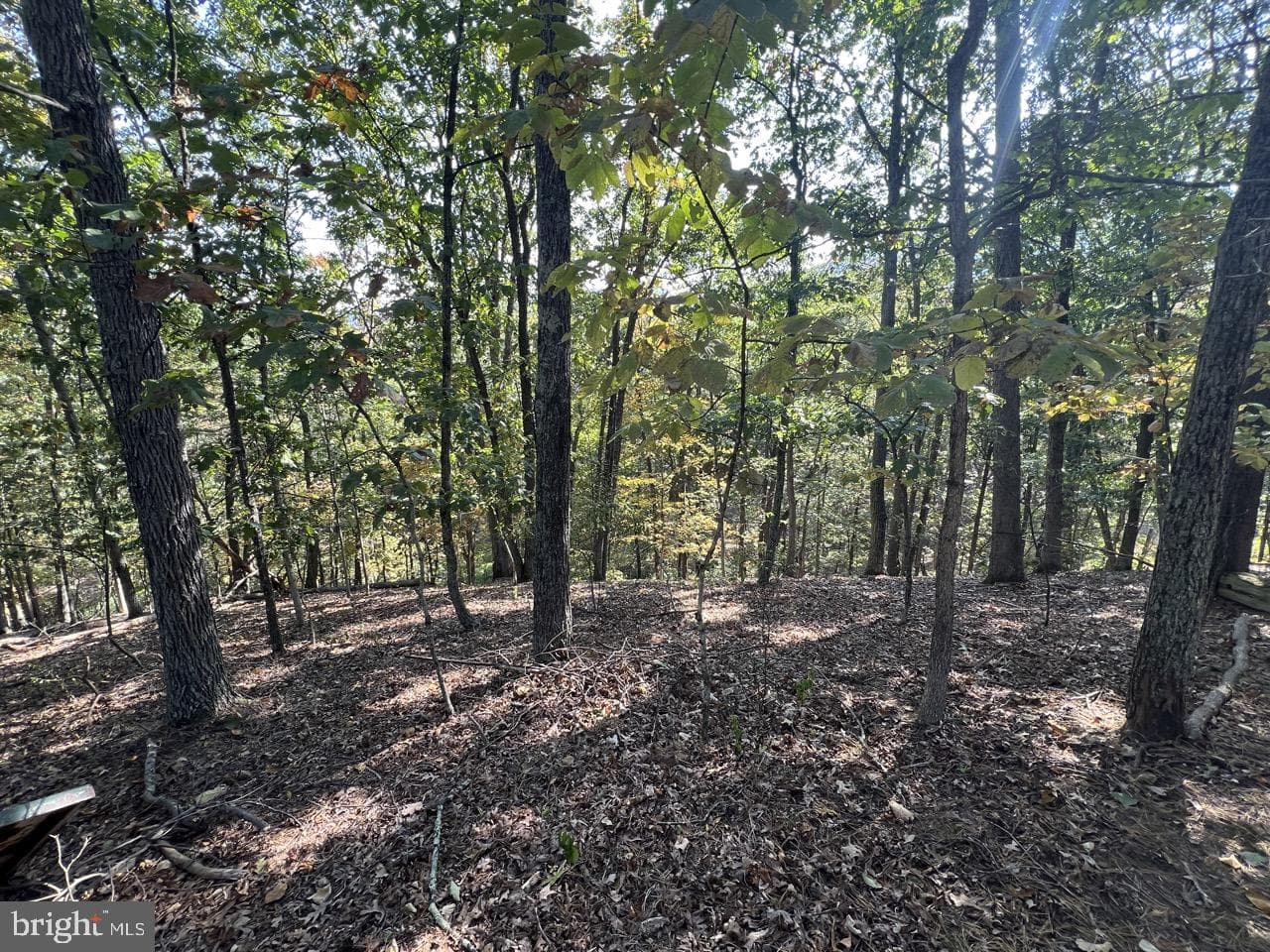 229 Carmel Court photo 12